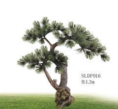 Trees/SLDP016