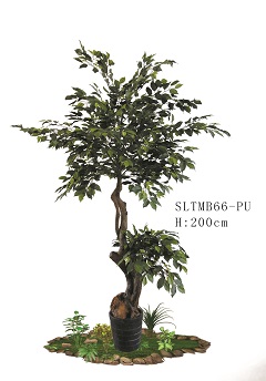 Trees/SLTMB66-PU