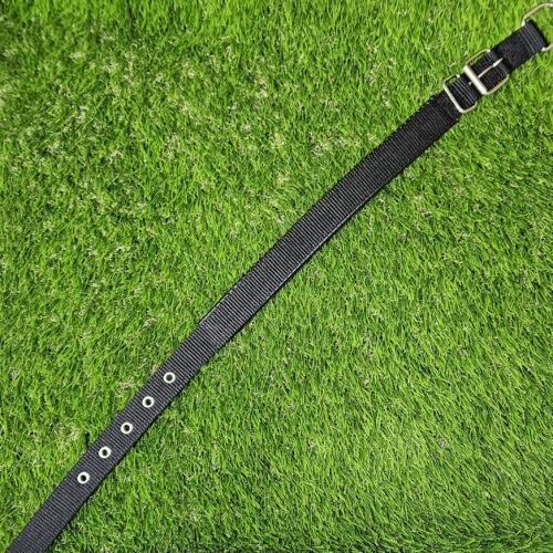 Dog collar 2.5 x 24''