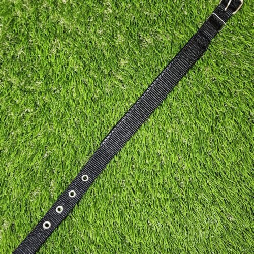 Dog Collar 21''