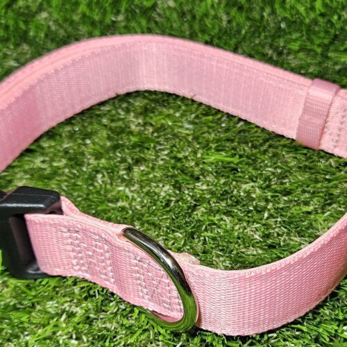 Dog Collar Large