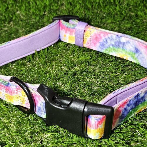 Dog Collar Medium