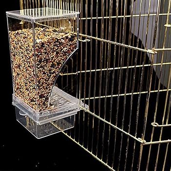 Hanging Bird Feeder Clear