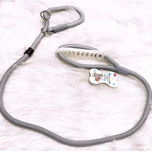 PET LEASH