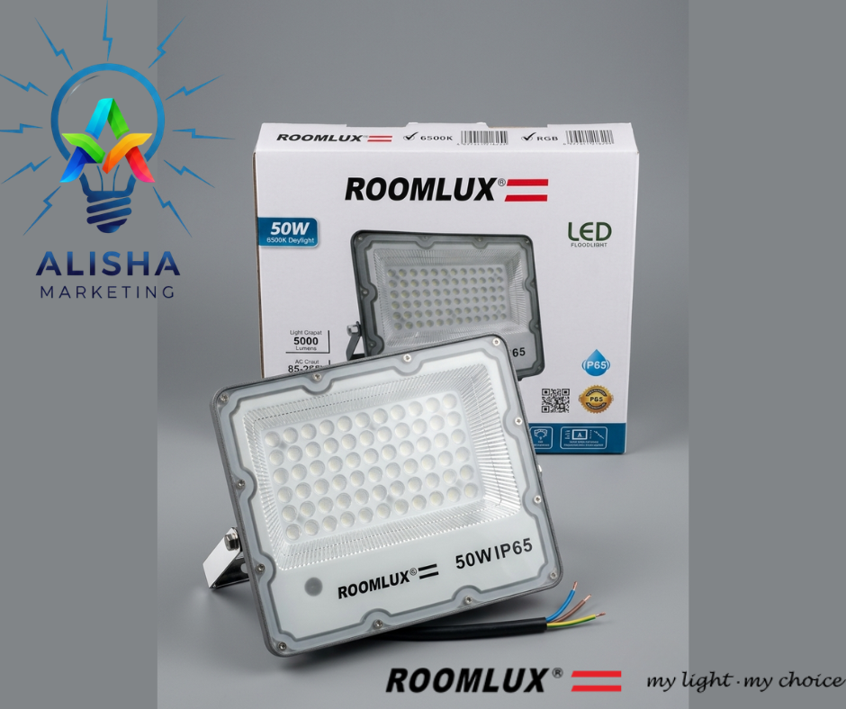 LED FLOOD LIGHT 6500K
